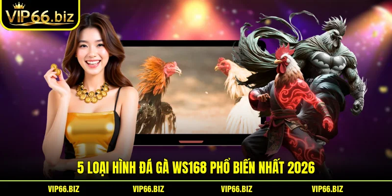 5 loại hình đá gà WS168 phổ biến nhất 2026
