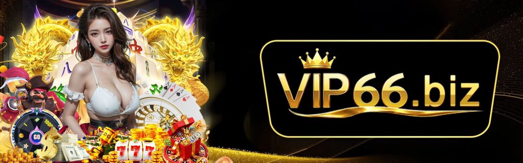 banner vip66
