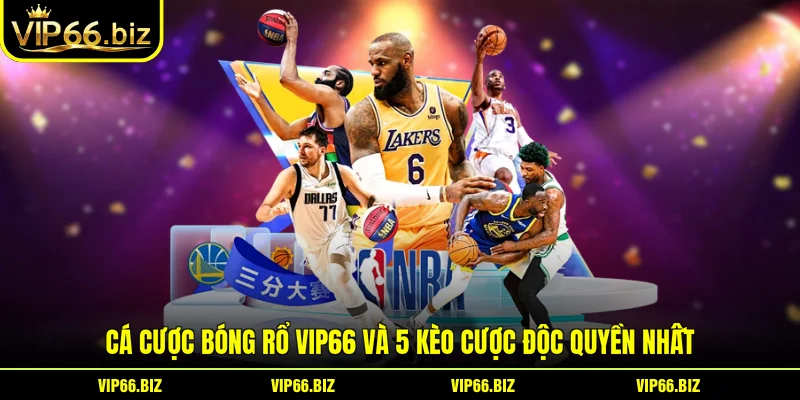 Cá Cược Bóng Rổ VIP66 Và 5 Kèo Cược Độc Quyền Nhất