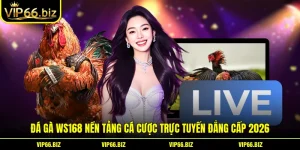 Đá Gà WS168 Nền Tảng Cá Cược Trực Tuyến Đẳng Cấp 2026