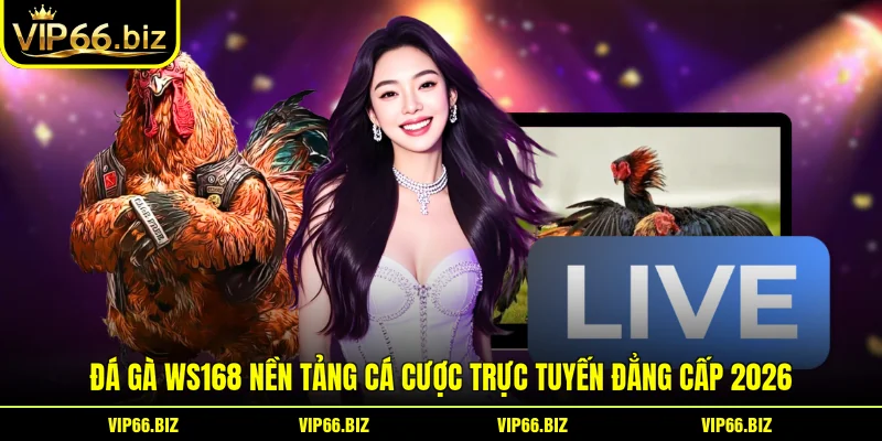 Đá Gà WS168 Nền Tảng Cá Cược Trực Tuyến Đẳng Cấp 2026
