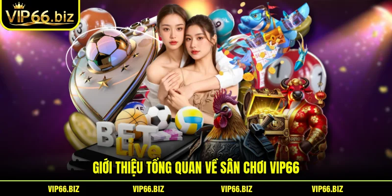 Giới thiệu tổng quan về sân chơi VIP66 Giới thiệu tổng quan về sân chơi VIP66