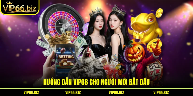 Hướng dẫn VIP66 cho người mới bắt đầu