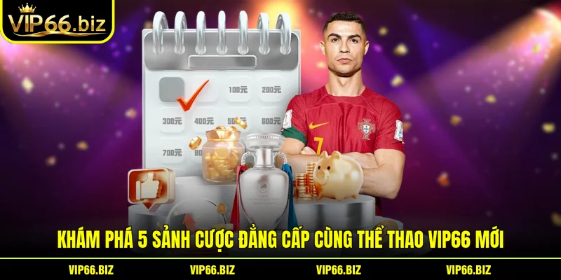 Khám Phá 5 Sảnh Cược Đẳng Cấp Cùng Thể thao VIP66 Mới
