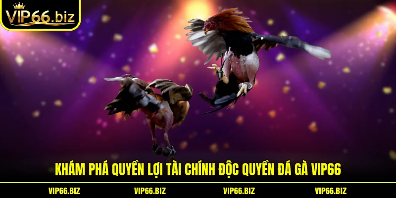 Khám phá quyền lợi tài chính độc quyền đá gà VIP66