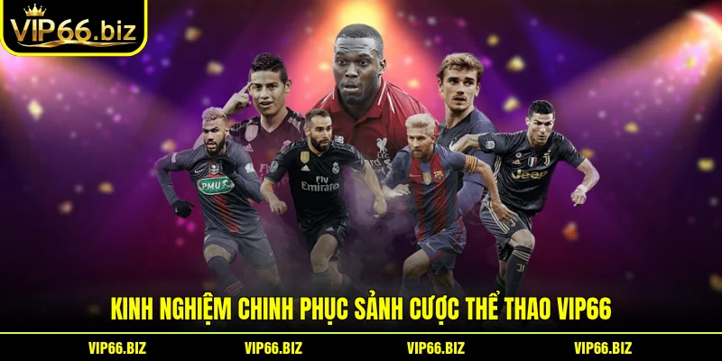 Kinh nghiệm chinh phục sảnh cược thể thao VIP66