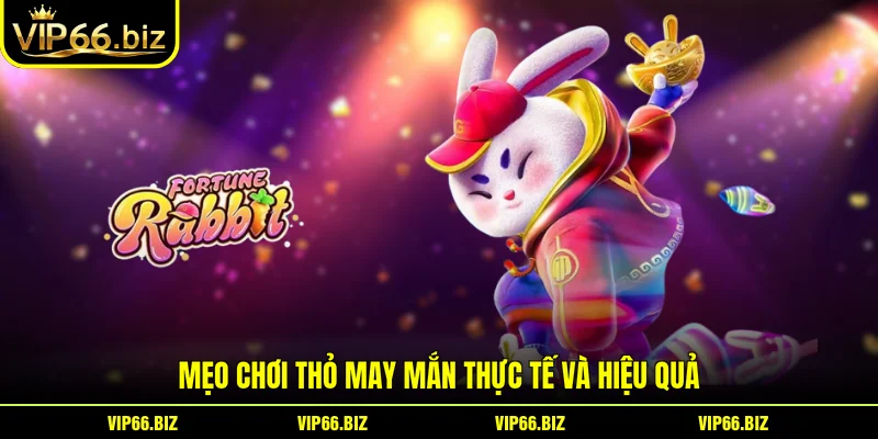 Mẹo chơi Thỏ May Mắn thực tế và hiệu quả