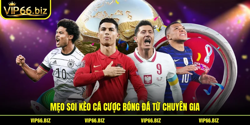 Mẹo soi kèo cá cược bóng đá từ chuyên gia